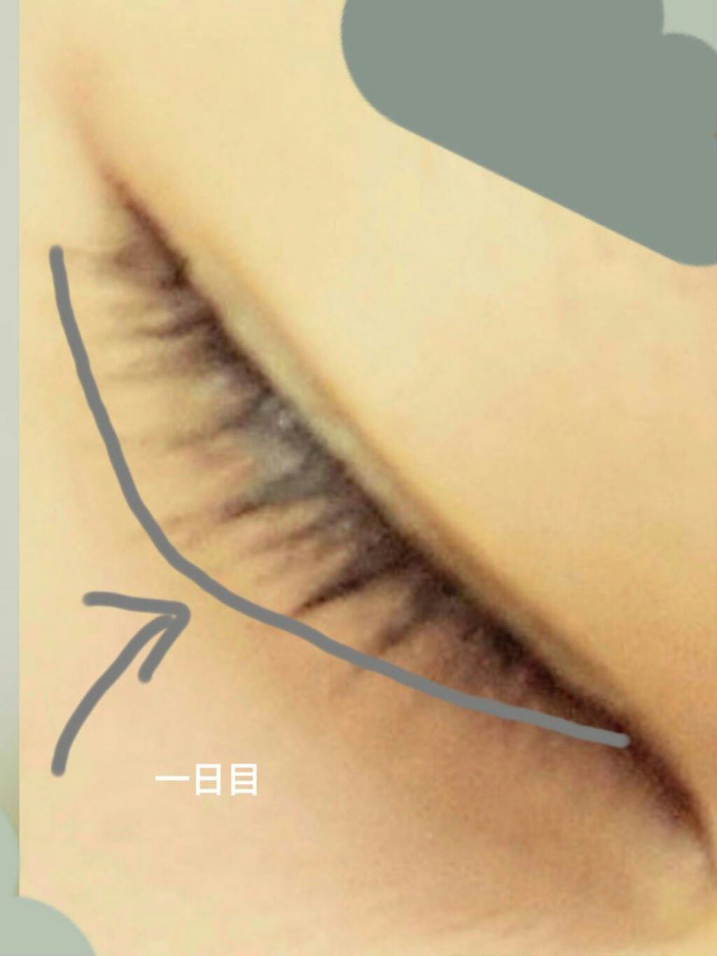 まつげ美容液EX/CEZANNE/まつげ美容液を使ったクチコミ(3枚目)