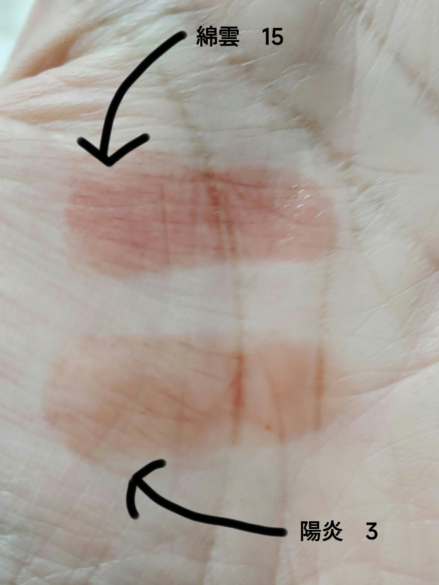 ケイト リップモンスター/KATE/口紅を使ったクチコミ（2枚目）