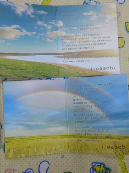 イロアソビ 4色アイパレット/iroasobi/アイシャドウパレットを使ったクチコミ(8枚目)