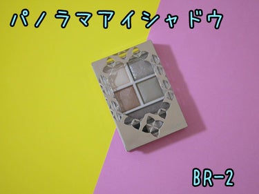 パノラマデザイン アイパレット/Visée/アイシャドウパレットを使ったクチコミ（1枚目）