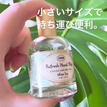 SABON リフレッシュハンドミストのクチコミ「リピするほどオススメしたい！！SABONのアレ🌟


SABON
リフレッシュハンドミスト
香.....」（2枚目）