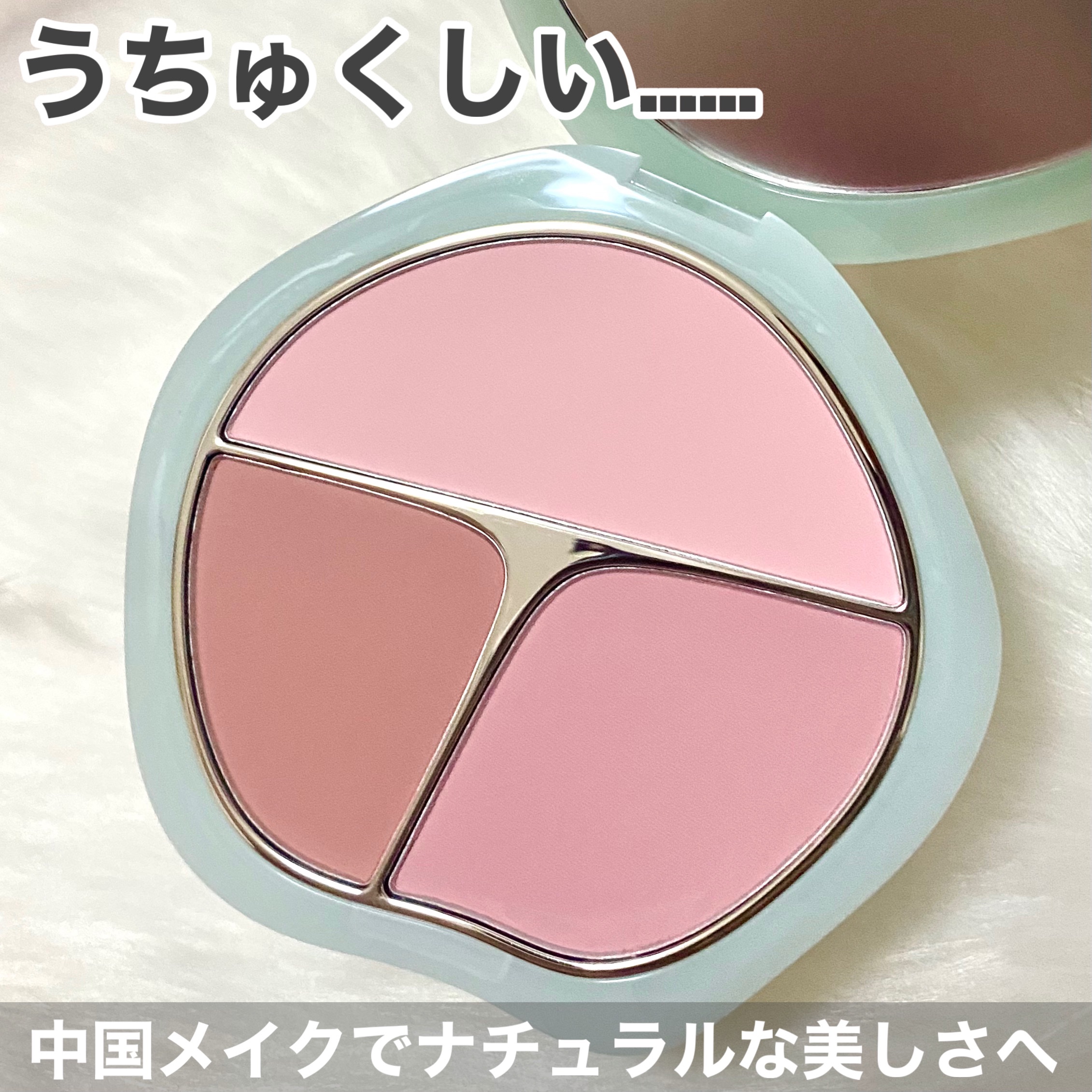 TIMAGE  3色チークパレット/TIMAGE/パウダーチークを使ったクチコミ（3枚目）