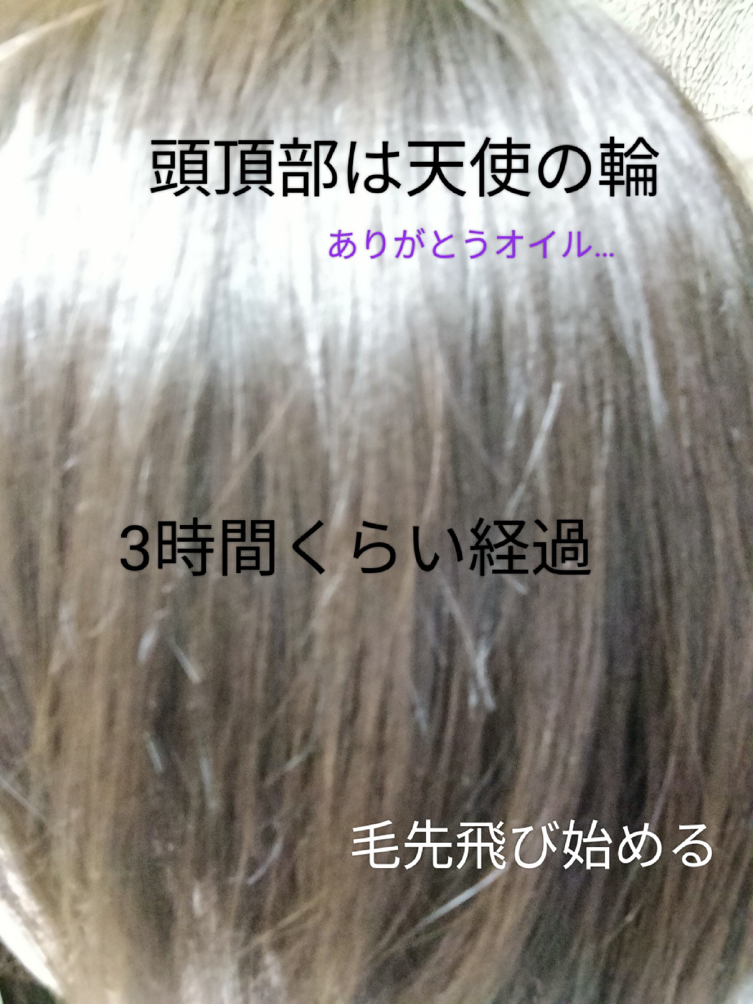 MOTON シルクヘアオイル フラワーガーデン/MOTON/ヘアオイルを使ったクチコミ（3枚目）