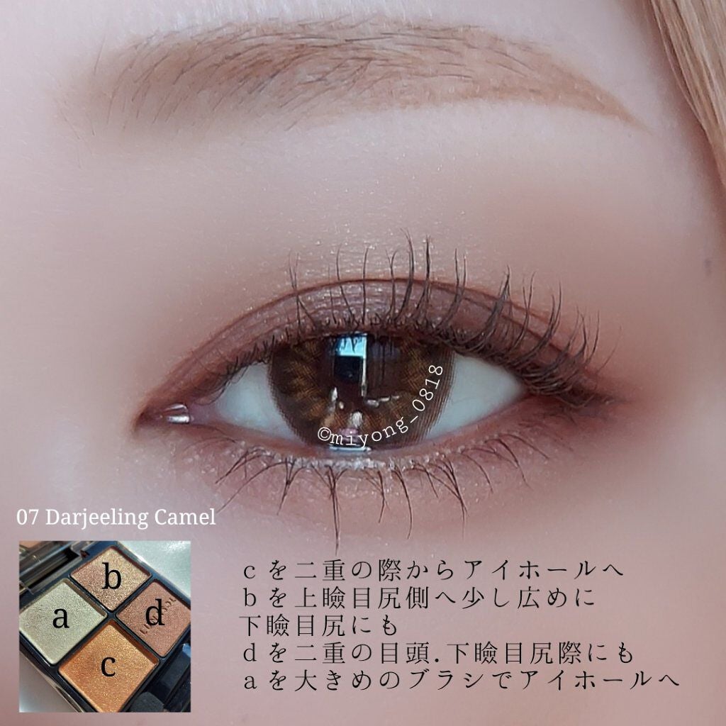 アイカラーレーション/LUNASOL/アイシャドウパレットを使ったクチコミ(4枚目)