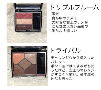 アイ カラー クォード/TOM FORD BEAUTY/アイシャドウパレットを使ったクチコミ(4枚目)