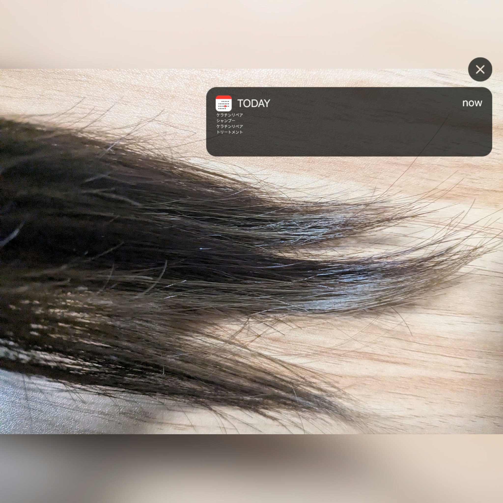 LPTケラチンリペアシャンプー/Daleaf/市販シャンプーを使ったクチコミ（3枚目）
