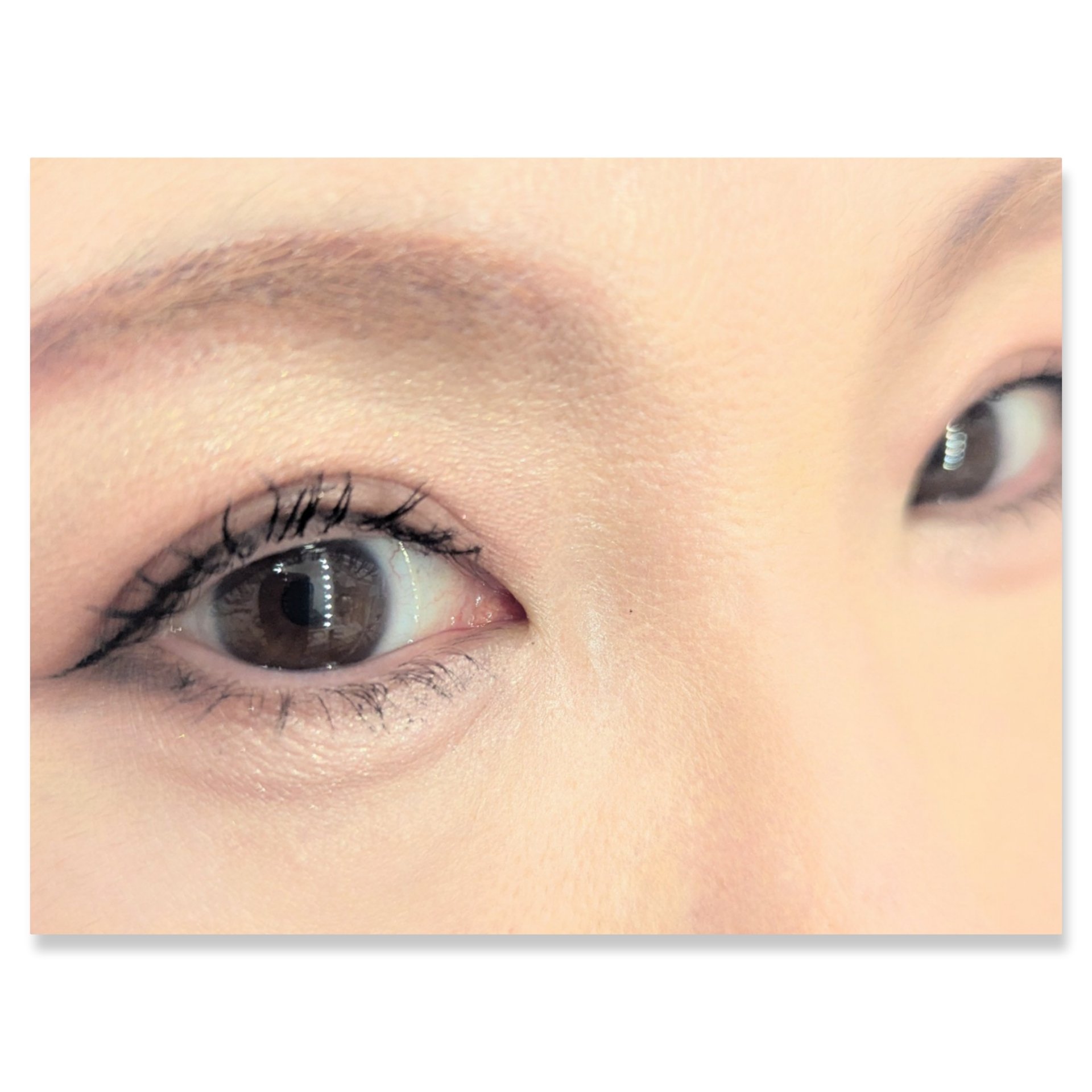 グラデーション アイシャドウ/ちふれ/アイシャドウパレットを使ったクチコミ（2枚目）