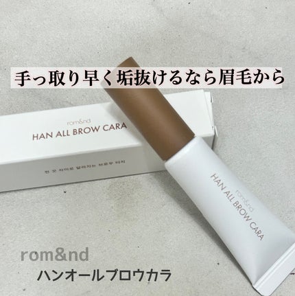 ハンオールブロウカラ/rom&nd/眉マスカラを使ったクチコミ(1枚目)