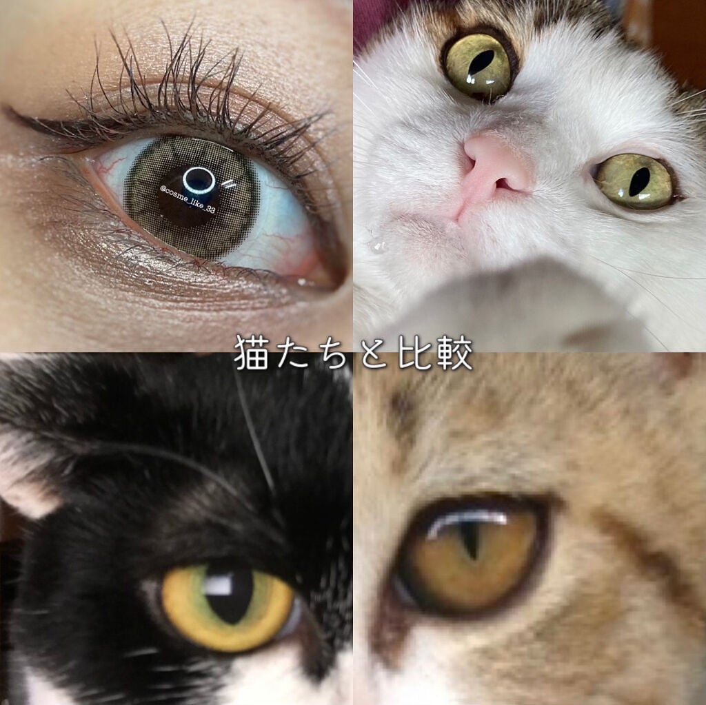 TOPARDS 1day/TOPARDS/ワンデー(1DAY)カラコンを使ったクチコミ(7枚目)