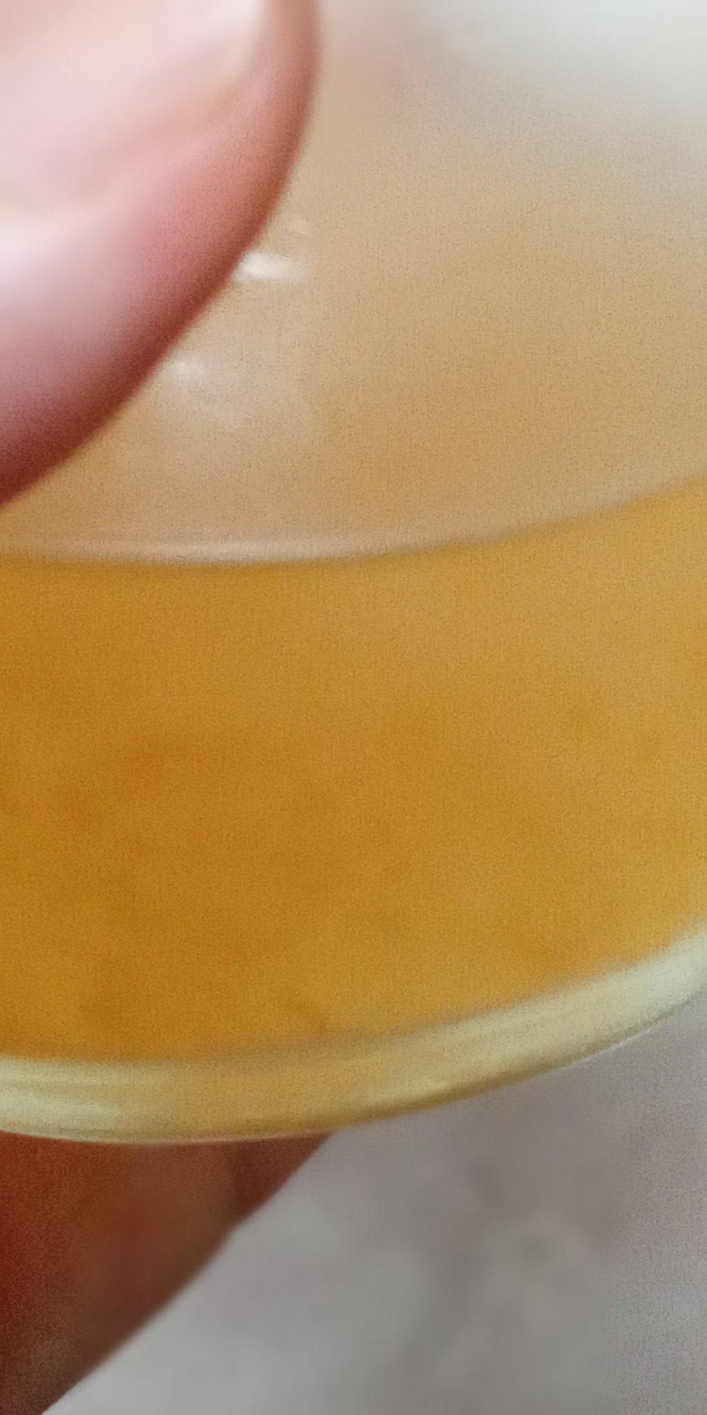 コラーゲン グレープフルーツ/TBC/美容ドリンクを使ったクチコミ（3枚目）