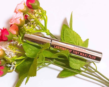 ラスティングリップティントマキシプラス/K-パレット/リップティントを使ったクチコミ(2枚目)