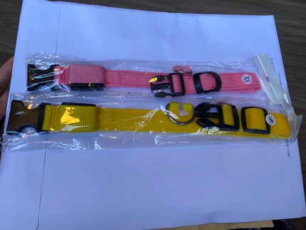 光る首輪/Qoo10/その他を使ったクチコミ(7枚目)