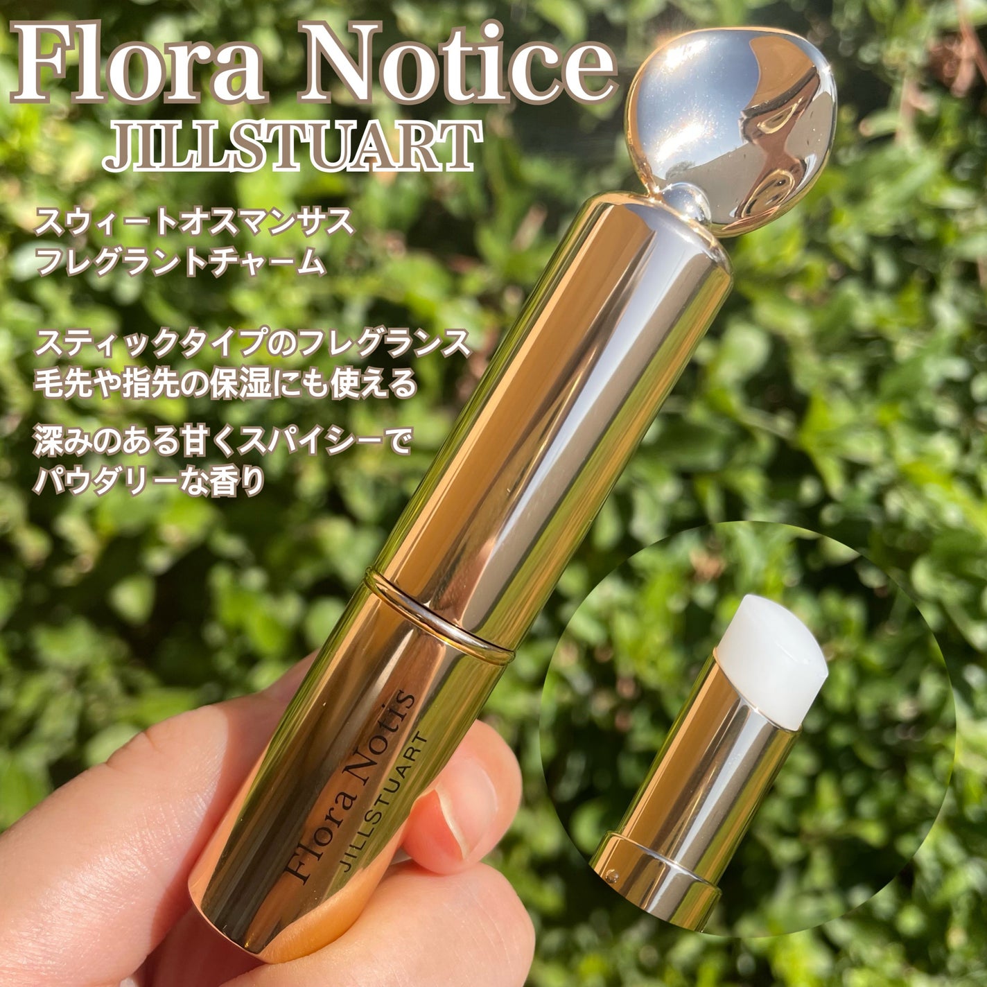 金木犀 ボディー&ヘアミスト/生活の木/香水(その他)を使ったクチコミ(2枚目)