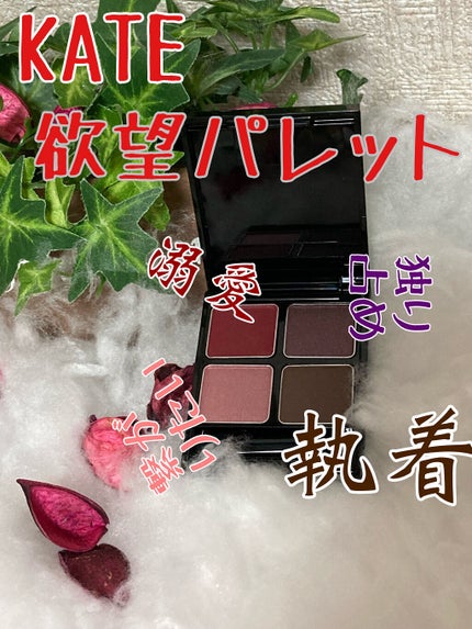 ケイト ザ アイカラー/KATE/単色アイシャドウを使ったクチコミ(1枚目)