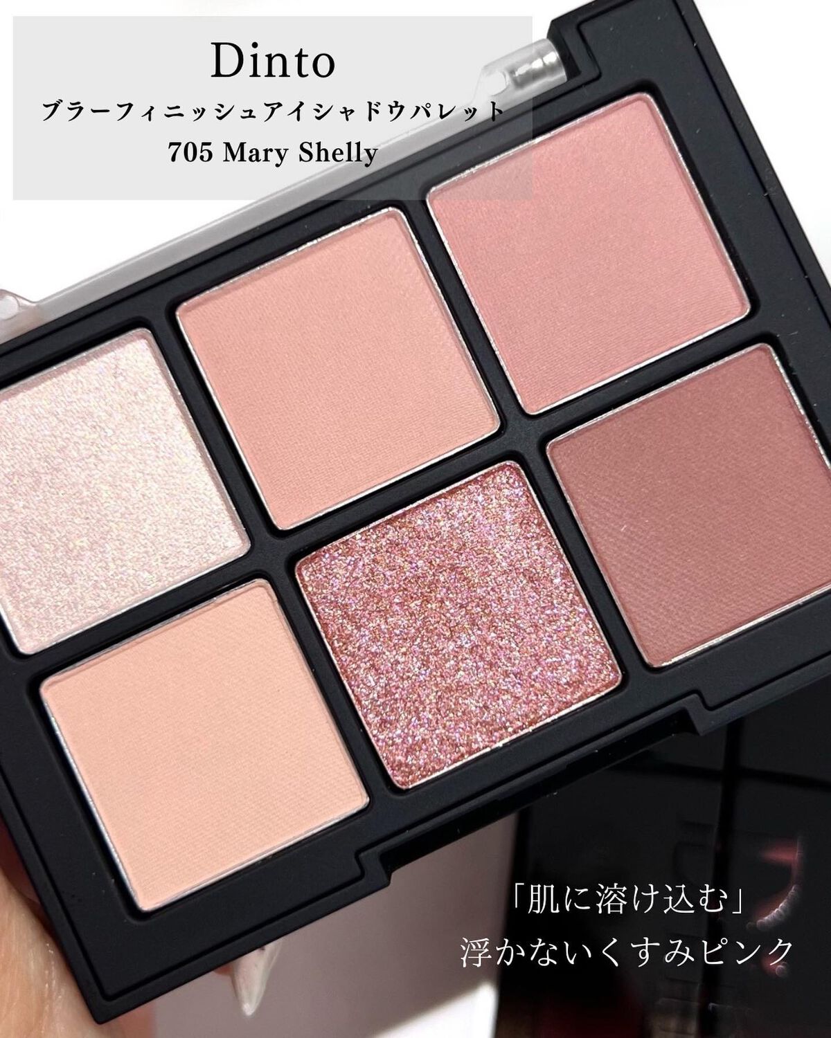 ブラーフィニシュシャドウパレット/Dinto/アイシャドウパレットを使ったクチコミ（3枚目）