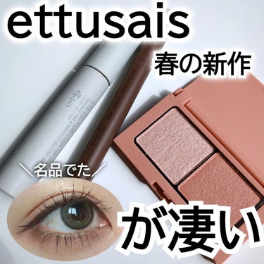 アイエディション(カラーパレット)/ettusais/アイシャドウパレットを使ったクチコミ（1枚目）