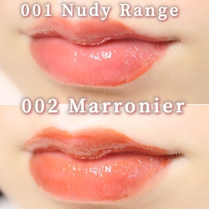 ビルダブルデューイフィットティント/ArteSinsa/リップティントを使ったクチコミ(6枚目)