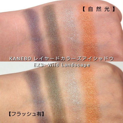 レイヤードカラーズアイシャドウ/KANEBO/アイシャドウパレットを使ったクチコミ(5枚目)