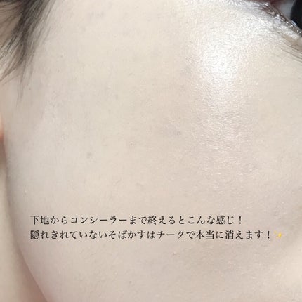 カバーパーフェクション チップコンシーラー/the SAEM/リキッドコンシーラーを使ったクチコミ(4枚目)