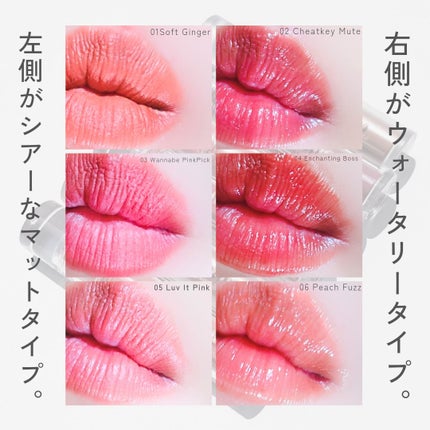 プロペアリングティント/moumou/リップティントを使ったクチコミ(6枚目)