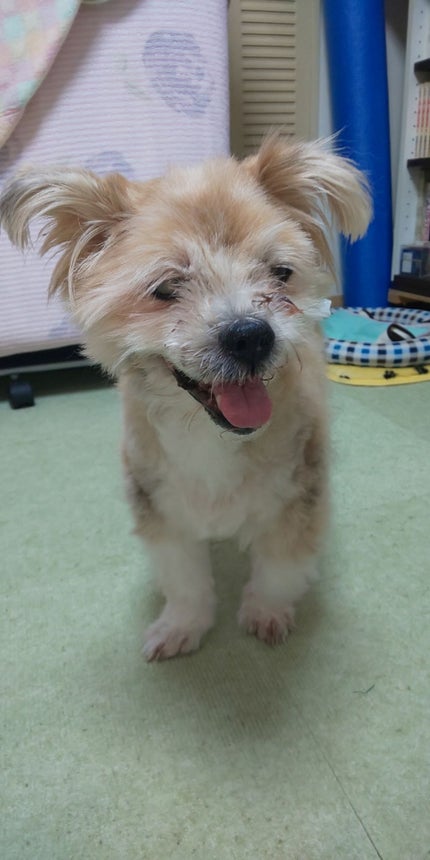 を使ったクチコミ(1枚目)