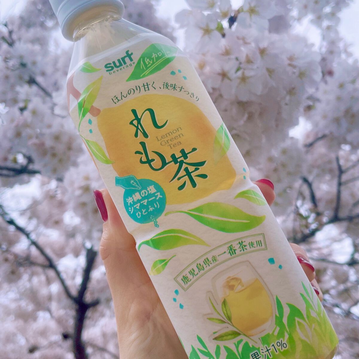 れも茶/サーフビバレッジ/ドリンクを使ったクチコミ（1枚目）