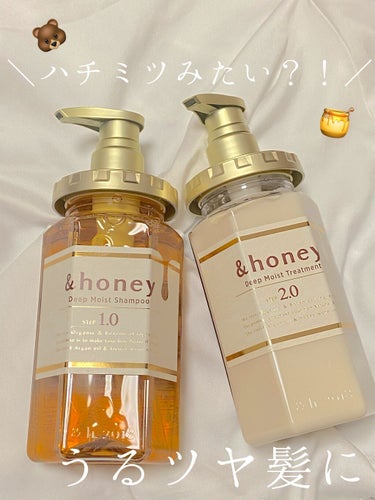 ディープモイスト シャンプー1.0／ヘアトリートメント2.0/&honey/シャンプー・コンディショナーを使ったクチコミ（1枚目）