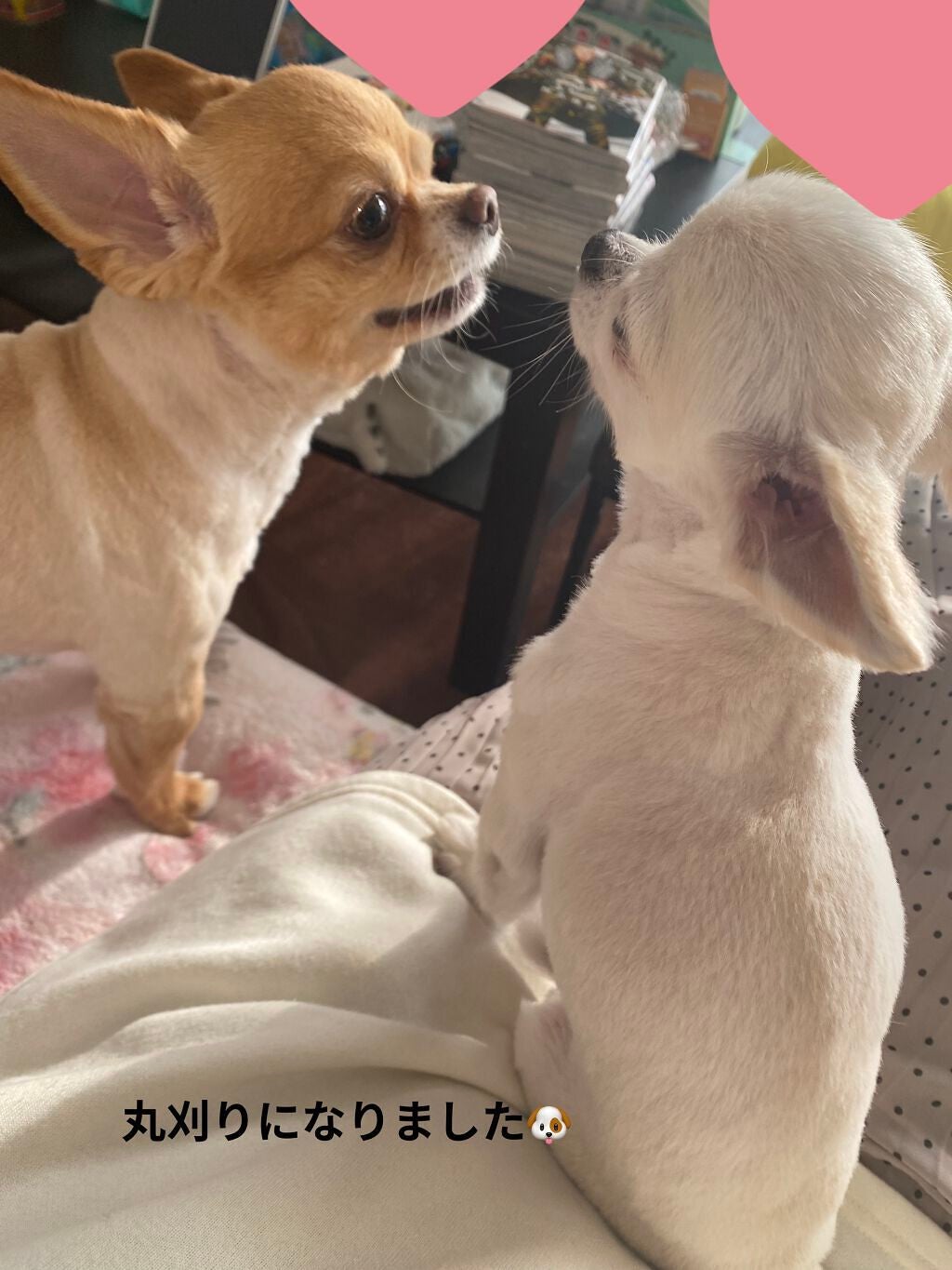 ロング&カールマスカラ アドバンストフィルム/ヒロインメイク/マスカラを使ったクチコミ(5枚目)