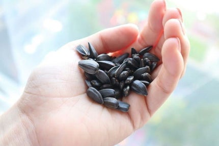 Sumire☆ on LIPS 「このクレンジング、、!凄い!!洗顔すればするほどお肌がツルツル..」(3枚目)