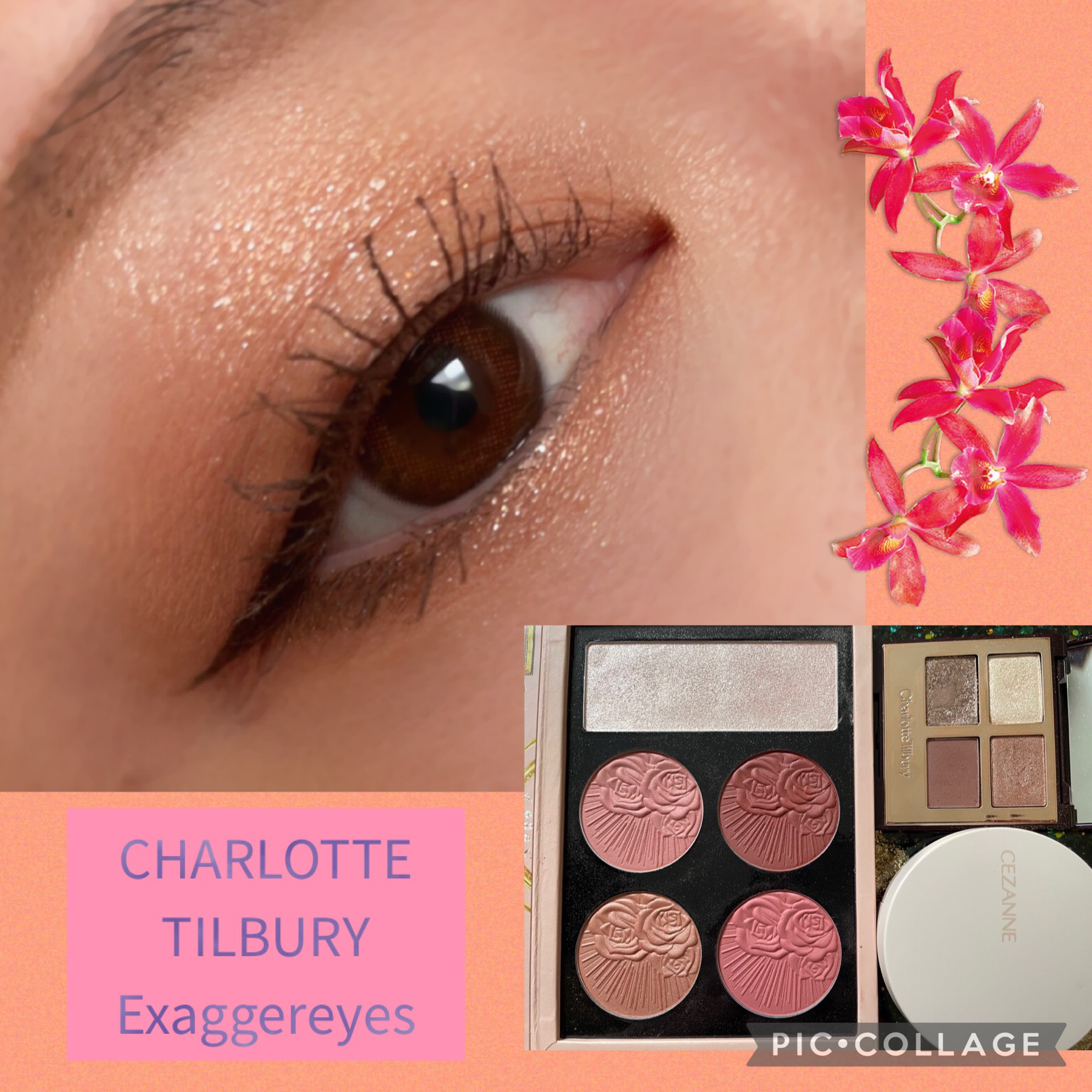 TOPARDS 1day/TOPARDS/ワンデー（１DAY）カラコンを使ったクチコミ（1枚目）