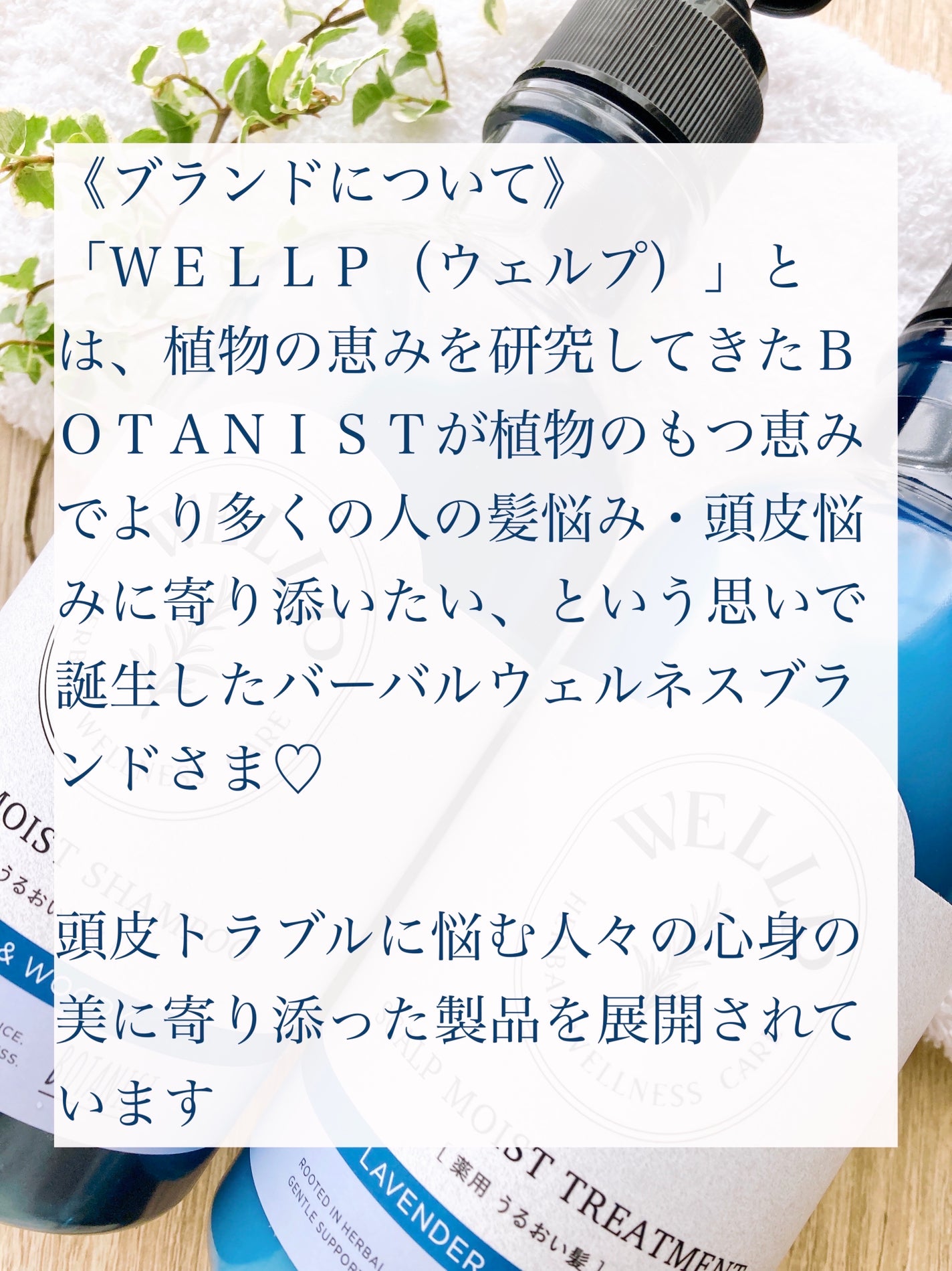 薬用スカルプケアシャンプー/トリートメント モイスト/WELLP/市販シャンプーを使ったクチコミ(2枚目)