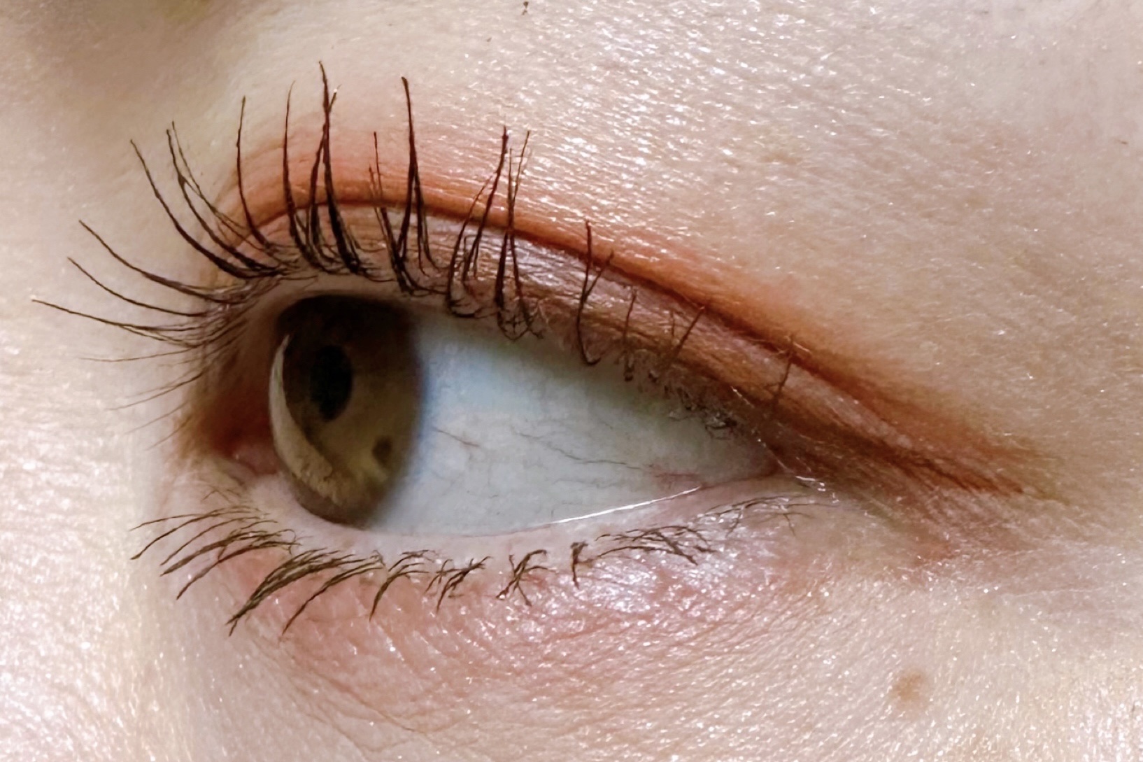 クイックラッシュカーラー/キャンメイク/マスカラ下地を使ったクチコミ（3枚目）