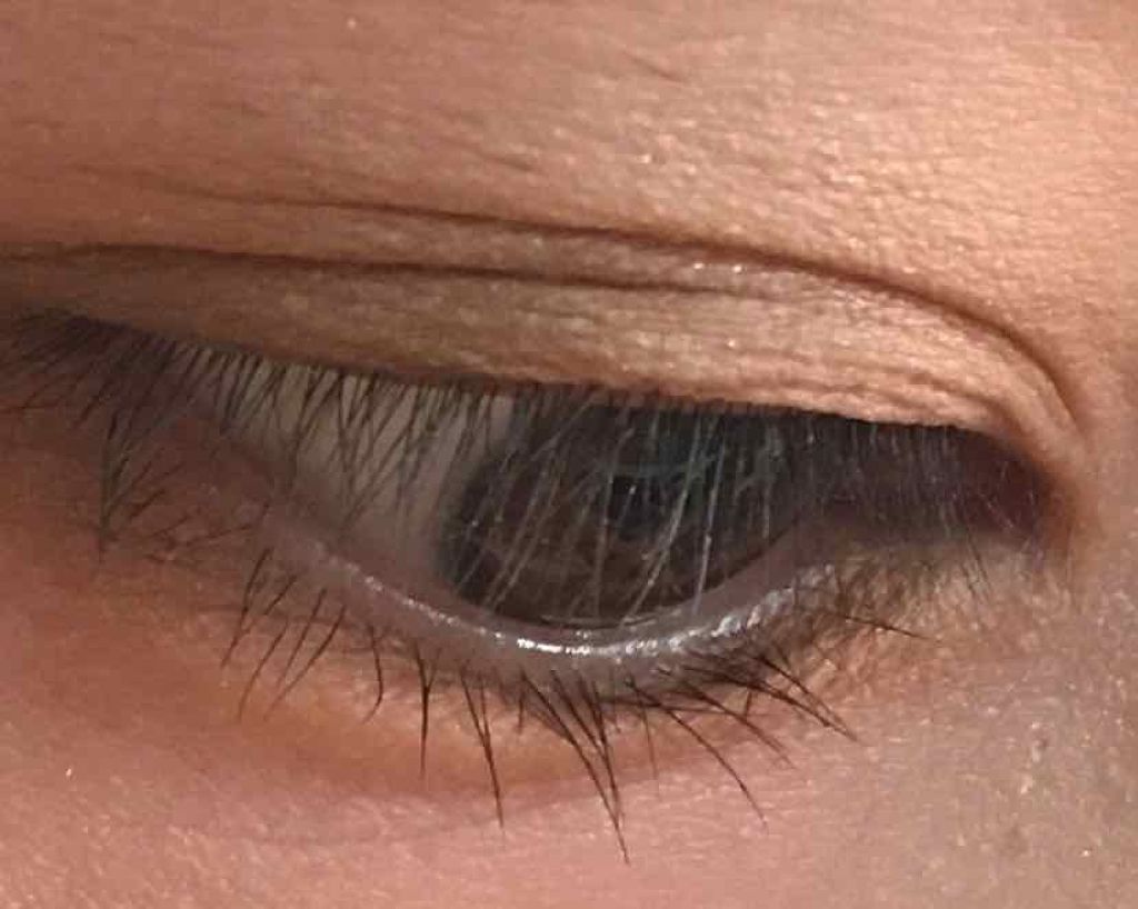 パワフルカール マスカラ EX (ロング)/FASIO/マスカラを使ったクチコミ(2枚目)