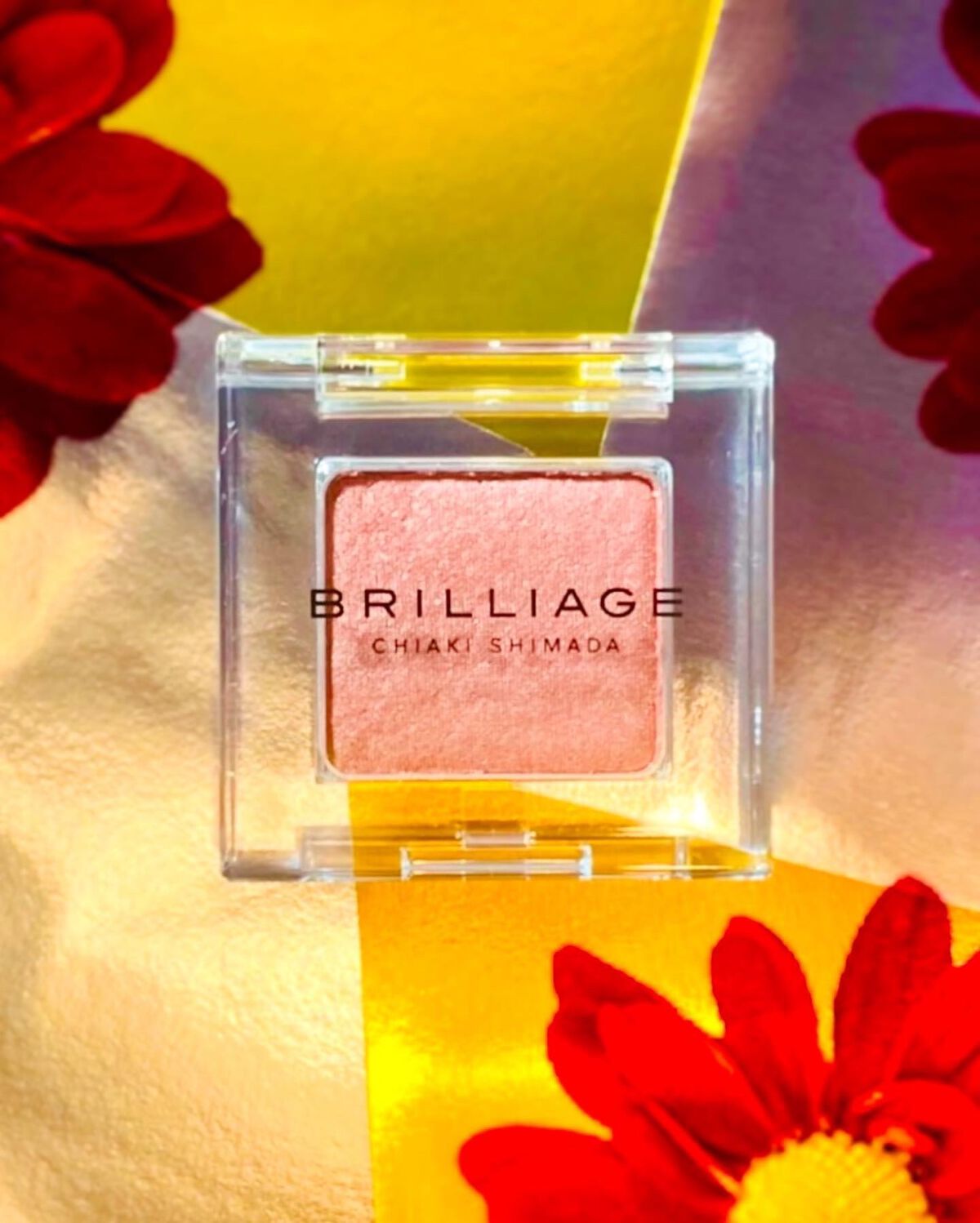 ワンダークリエイション /ブリリアージュ/単色アイシャドウを使ったクチコミ(1枚目)