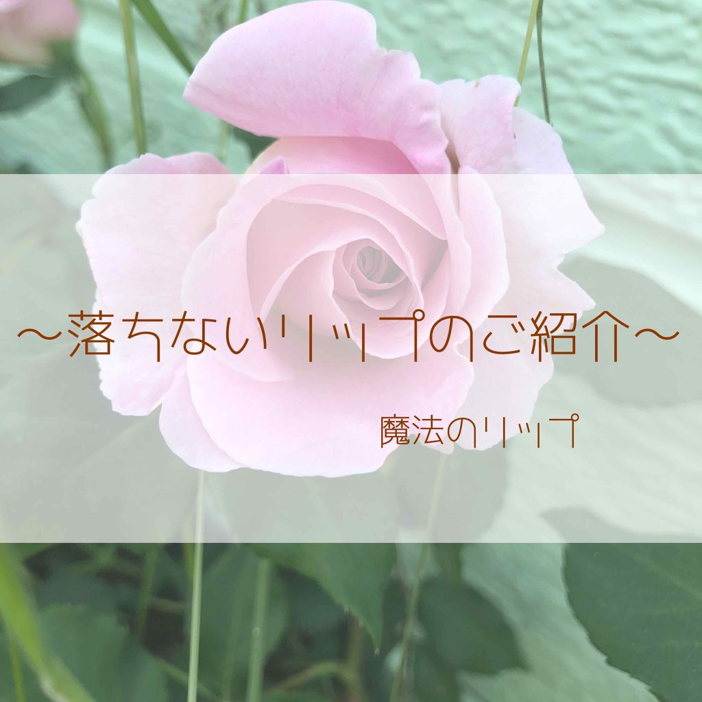 ラスティング リップカラーN/CEZANNE/口紅を使ったクチコミ(1枚目)