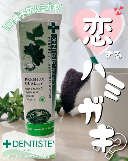 デンティス チューブタイプ/デンティス/歯磨き粉を使ったクチコミ(1枚目)