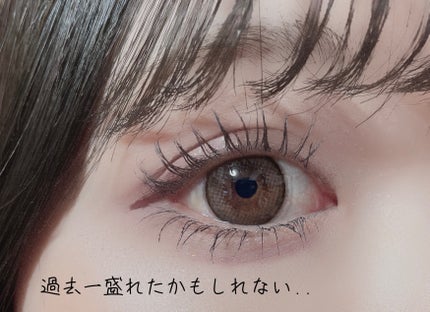 エバーカラーワンデー ナチュラル/エバーカラー/ワンデー(1DAY)カラコンを使ったクチコミ(2枚目)