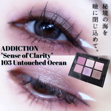 コンパクトアディクション センス オブ クラリティ/ADDICTION/アイシャドウパレットを使ったクチコミ(1枚目)