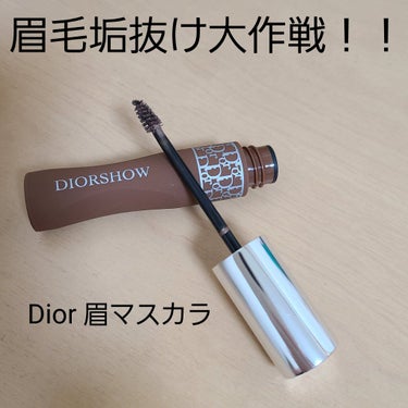 ディオール ショウ パンプ ＆ ブロウ 021　チェスナット/Dior/眉マスカラを使ったクチコミ（1枚目）