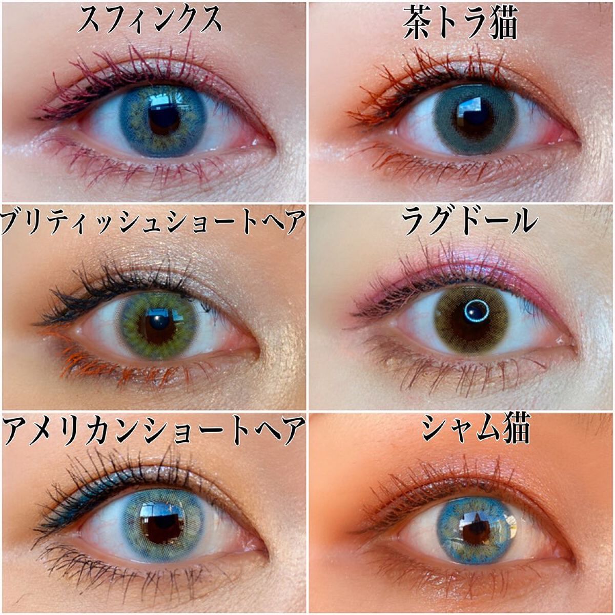 Venus Marble アイシャドウキャットシリーズ/Venus Marble/アイシャドウパレットを使ったクチコミ（3枚目）