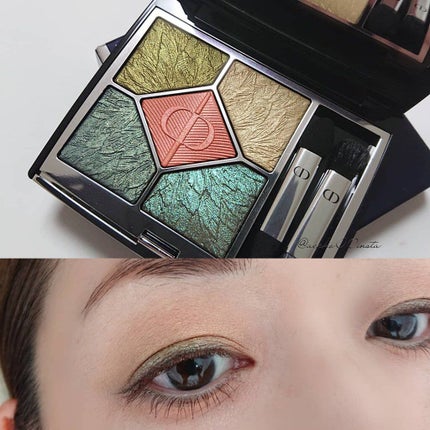 サンク クルール クチュール<バーズ オブ ア フェザー>/Dior/アイシャドウパレットを使ったクチコミ(1枚目)