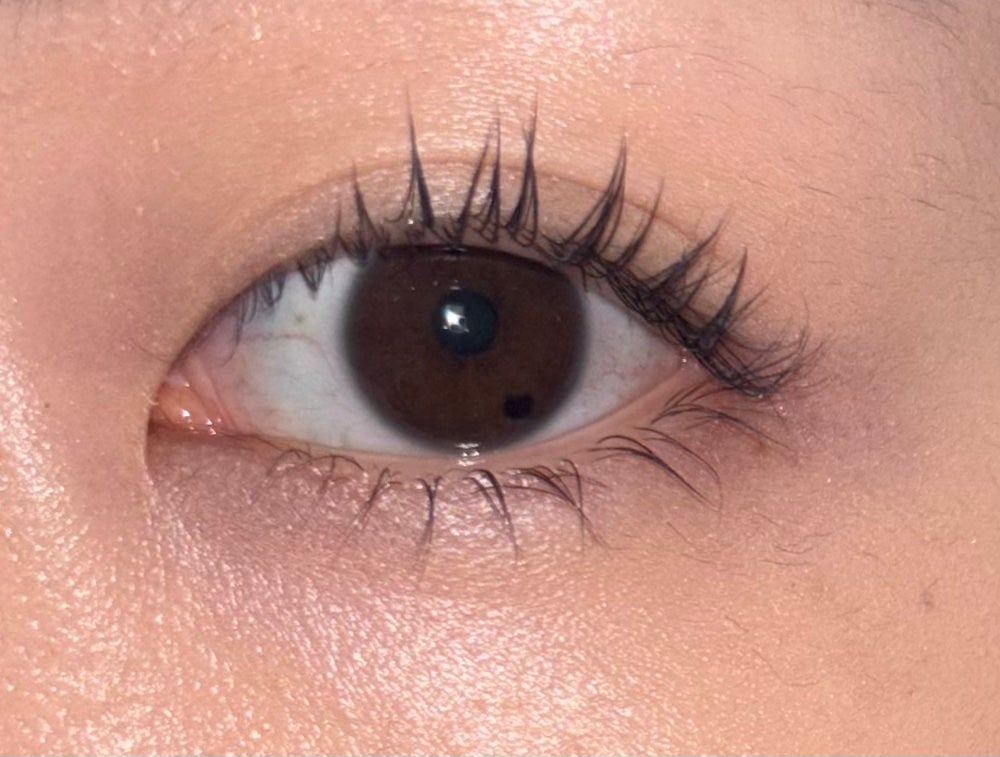 耐久カールマスカラ/CEZANNE/マスカラを使ったクチコミ(1枚目)