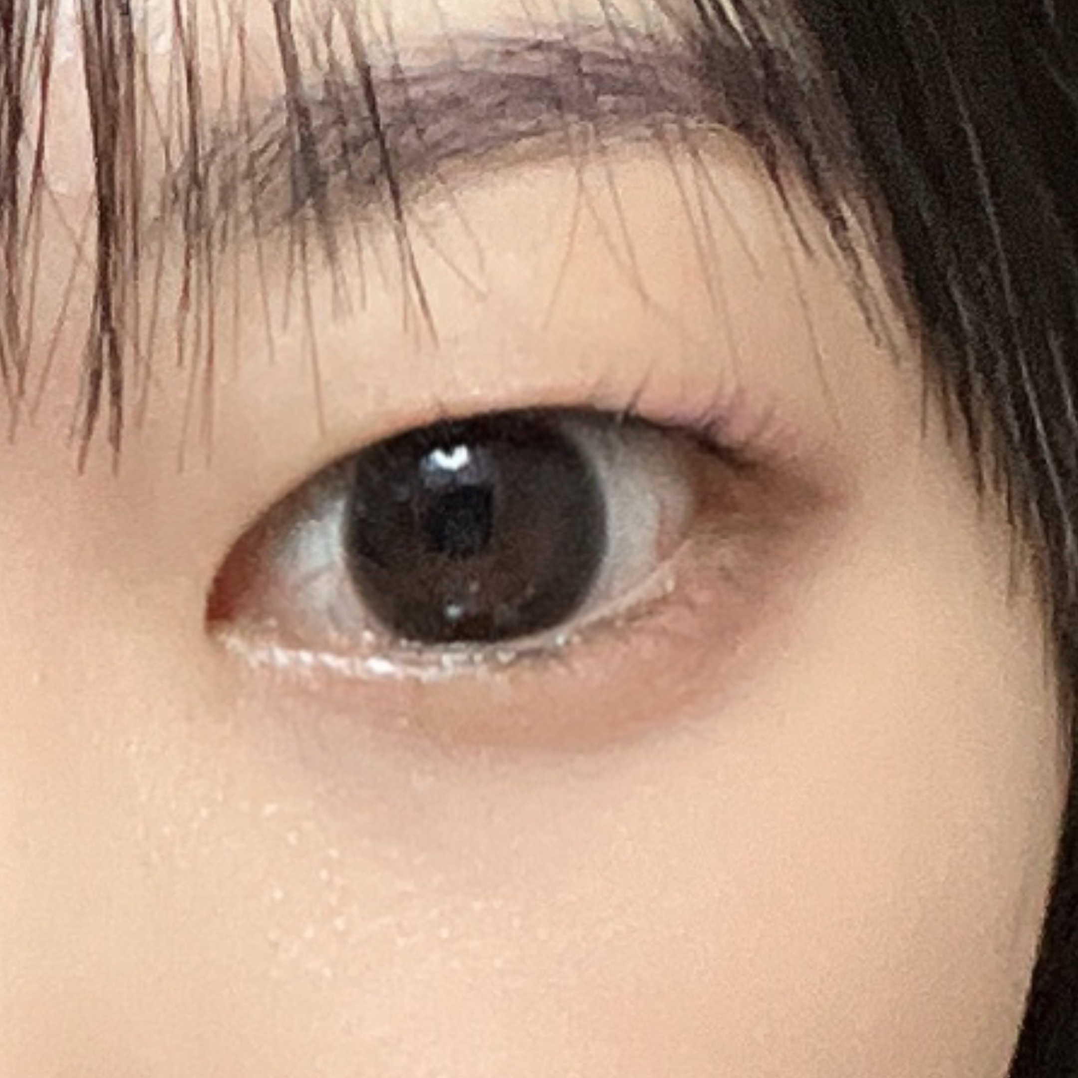 melady 1day レディブラック/melady/ワンデー（１DAY）カラコンを使ったクチコミ（2枚目）