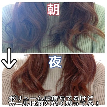 スタイリングオイル(ウェット)/SALONIA/ヘアオイルの画像