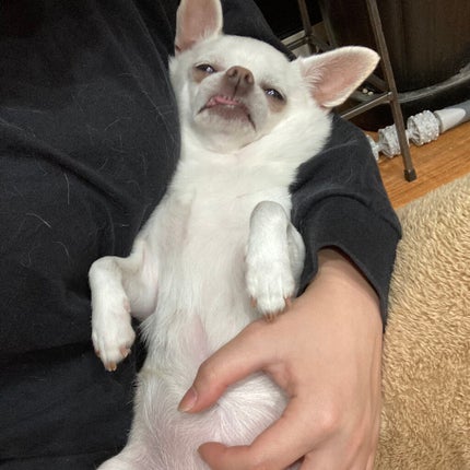 デュオ ザ クレンジングバーム/DUO/クレンジングバームを使ったクチコミ(6枚目)