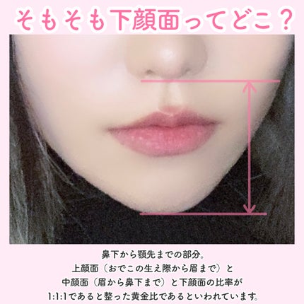 プロコンシーラーパレット/dasique/パレットコンシーラーを使ったクチコミ(2枚目)