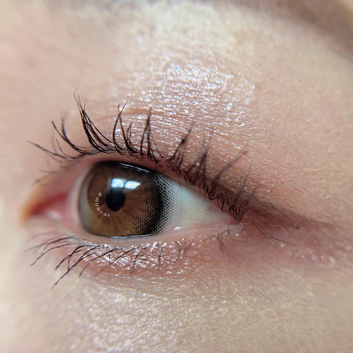 シグニチャー カラー アイズ/SUQQU/アイシャドウパレットを使ったクチコミ(5枚目)