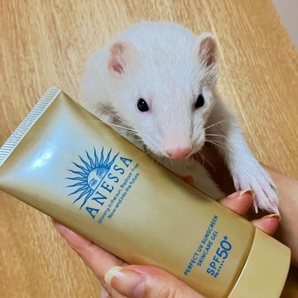 パーフェクトUV スキンケアジェル N/アネッサ/日焼け止め・UVケアを使ったクチコミ(5枚目)