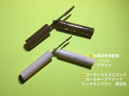 リシェ カラーリング アイブロウパウダー/Visée/パウダーアイブロウを使ったクチコミ(5枚目)