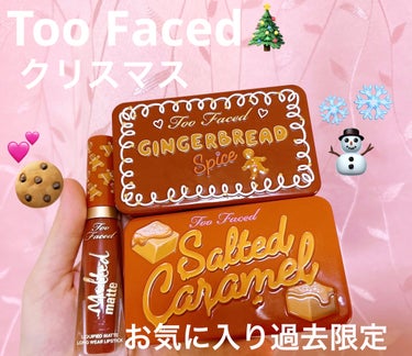 ジンジャーブレッド スパイス ミニ アイシャドウ パレット/Too Faced/パウダーアイシャドウを使ったクチコミ（1枚目）